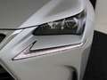 Lexus NX 300h AWD Business Line | Lederen bekleding | Safety Sys Grijs - thumbnail 40