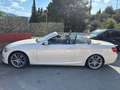 BMW 320 Serie 3 E93 Cabrio 320d Cabrio Msport 184cv Bianco - thumbnail 6