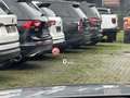 Bentley Continental New GT Speed*HUD*Ceramic Bremsanlage*360 Grau - thumbnail 24