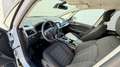 Ford Galaxy Trend Weiß - thumbnail 8
