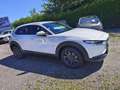 Mazda CX-30 e-Skyactive 2,5 G140 Prime-Line AKTION-KURZZULA... Weiß - thumbnail 4