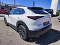 Mazda CX-30 e-Skyactive 2,5 G140 Prime-Line AKTION-KURZZULA... Weiß - thumbnail 5