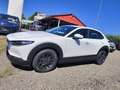 Mazda CX-30 e-Skyactive 2,5 G140 Prime-Line AKTION-KURZZULA... Weiß - thumbnail 7