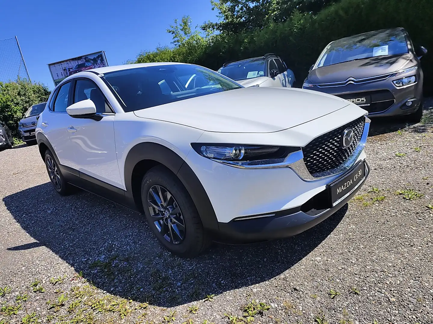 Mazda CX-30 e-Skyactive 2,5 G140 Prime-Line AKTION-KURZZULA... Weiß - 1