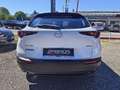 Mazda CX-30 e-Skyactive 2,5 G140 Prime-Line AKTION-KURZZULA... Weiß - thumbnail 9
