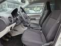 SEAT Mii 1.0 5 porte Style Bianco - thumbnail 6