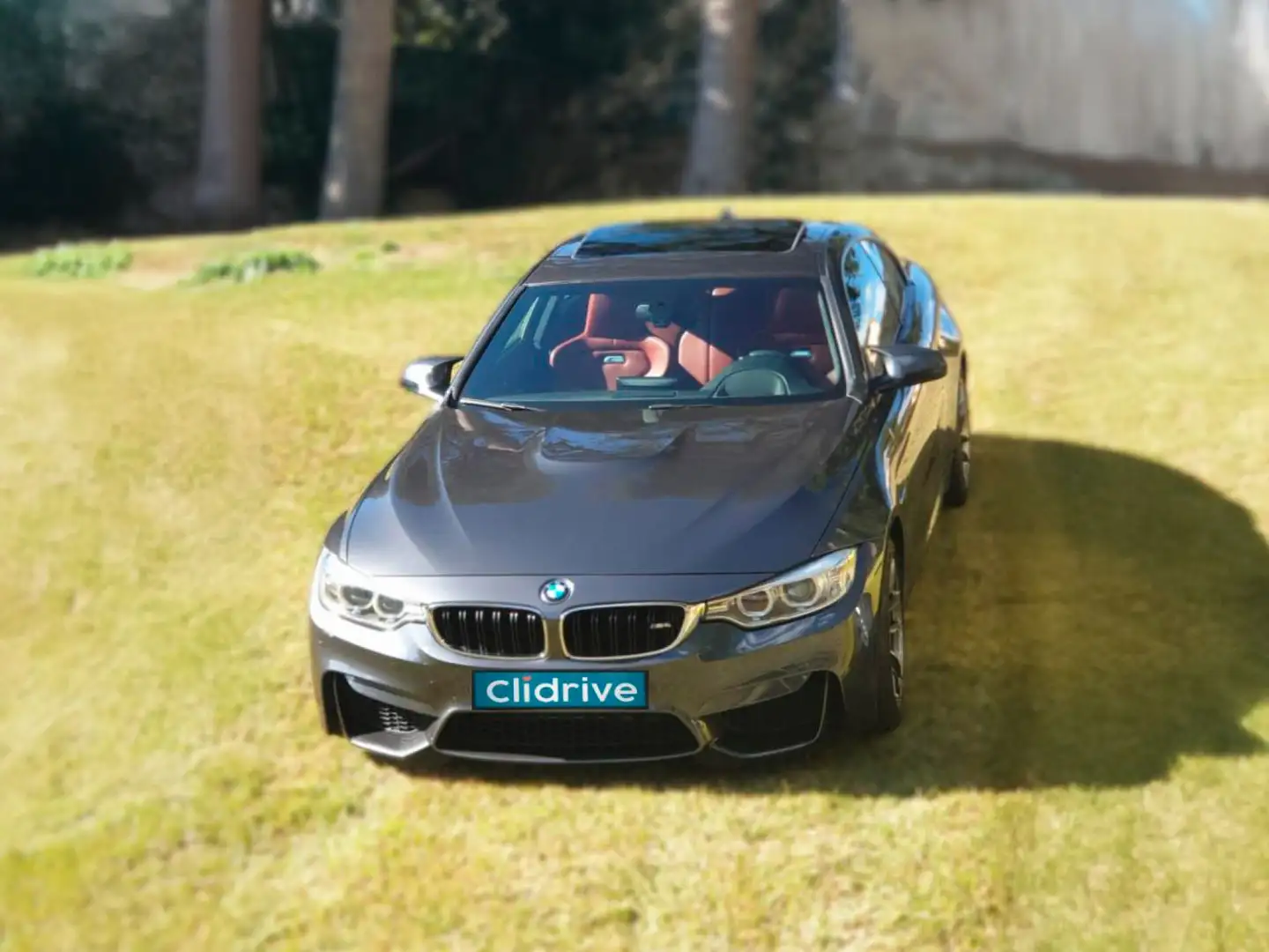BMW M4 M4A Gris - 2