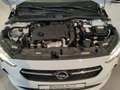 Opel Corsa Edition 1.5D Multimedia Navi Parkpilot,Apple CarPl Bianco - thumbnail 14