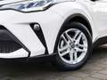 Toyota C-HR 1.8 Hybrid Business Edition +Navi Weiß - thumbnail 7