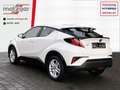 Toyota C-HR 1.8 Hybrid Business Edition +Navi Weiß - thumbnail 4