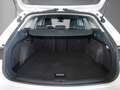 SEAT Leon ST 2.0 TDI DSG Style AHK/Navi/LED Weiß - thumbnail 6