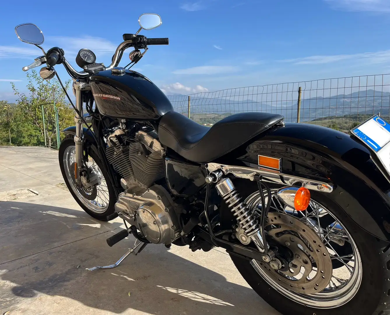 Harley-Davidson Sportster 883 883 XL Low - 2006 - Carburatore - 1
