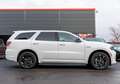 Dodge Durango 5,7l R/T,7 Sitze,ACC,Totwinkel,LPG Blanc - thumbnail 6