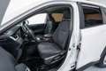 Toyota RAV 4 2.5 hybrid 4WD Business Weiß - thumbnail 13