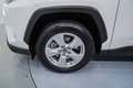 Toyota RAV 4 2.5 hybrid 4WD Business Weiß - thumbnail 11