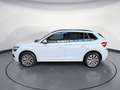 Skoda Kamiq 1.0 TSI DSG Tour *PANO*DAB*CARPLAY* Weiß - thumbnail 3