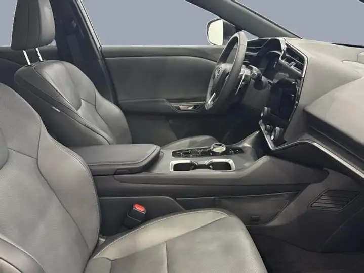 Lexus RZ 300e e-EXECUTIVE 2WD 2025, foto 6
