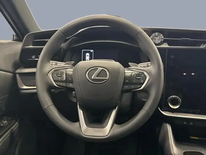Lexus RZ 300e e-EXECUTIVE 2WD 2025, foto 10