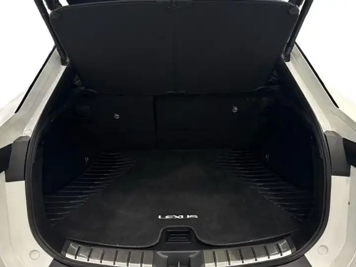 Lexus RZ 300e e-EXECUTIVE 2WD 2025, foto 9
