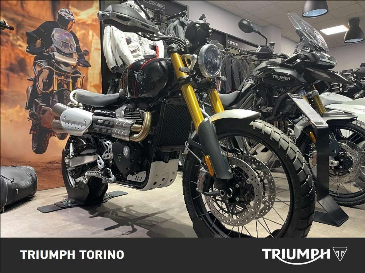 Triumph Scrambler XE Abs