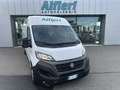 Citroen Jumper 35LH3 2.2BlueHDI 140cvFurgE6D 3700x1780x2100kg1338 Білий - thumbnail 1