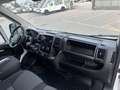 Citroen Jumper 35LH3 2.2BlueHDI 140cvFurgE6D 3700x1780x2100kg1338 Bianco - thumbnail 16