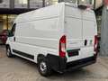 Fiat Ducato 2.2 140cv *IVA ESPOSTA* *PASSO MEDIO - TETTO ALTO* Blanc - thumbnail 6