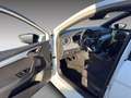 SEAT Ibiza FR 1.0 TSI NAVI+LED+KAMERA Weiß - thumbnail 8