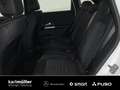 Mercedes-Benz B 200 B 200 Progr. LED+Lenkradhz.+el.Heckk+Apple+RfK Blanc - thumbnail 12