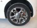 Fiat 500 1.0 hybrid Connect 70cv 4/2021 km60000 PELLE Bianco - thumbnail 7