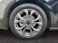 Ford Focus Turnier ST-Line X 1.0 EcoBoost ACC KAM NAV Schwarz - thumbnail 15