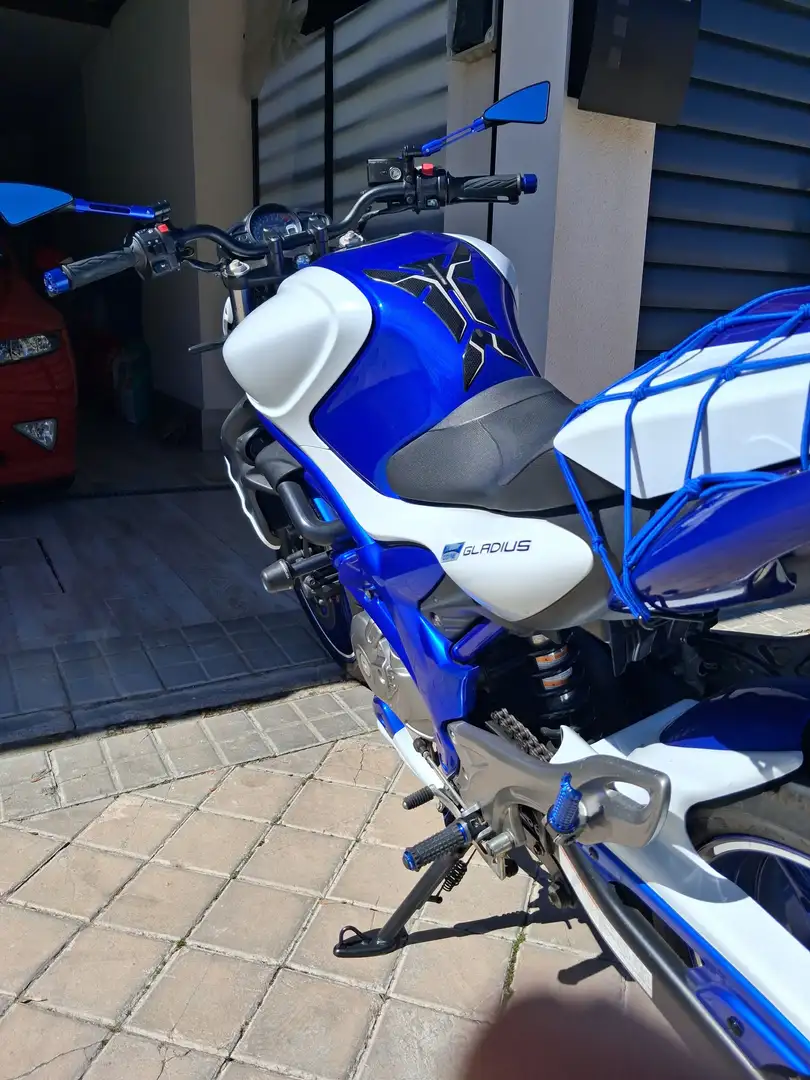 Suzuki Gladius 650 SFV Blanco - 1