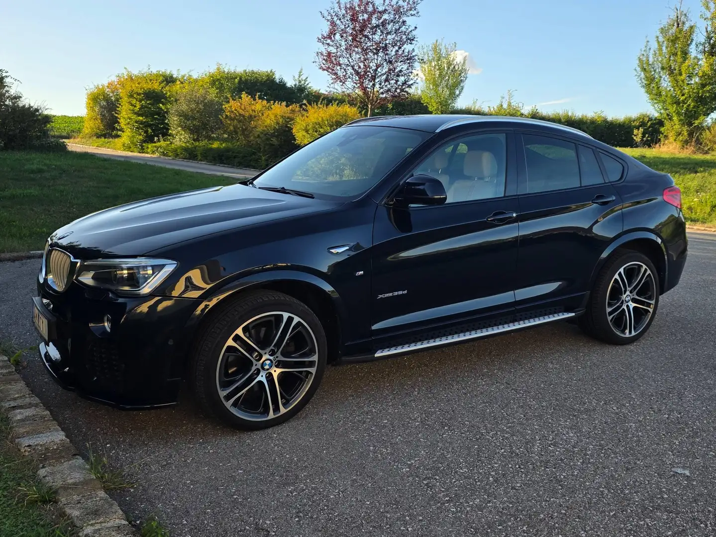 BMW X4 X4 xDrive 35d Advantage Aut. Advantage Schwarz - 1