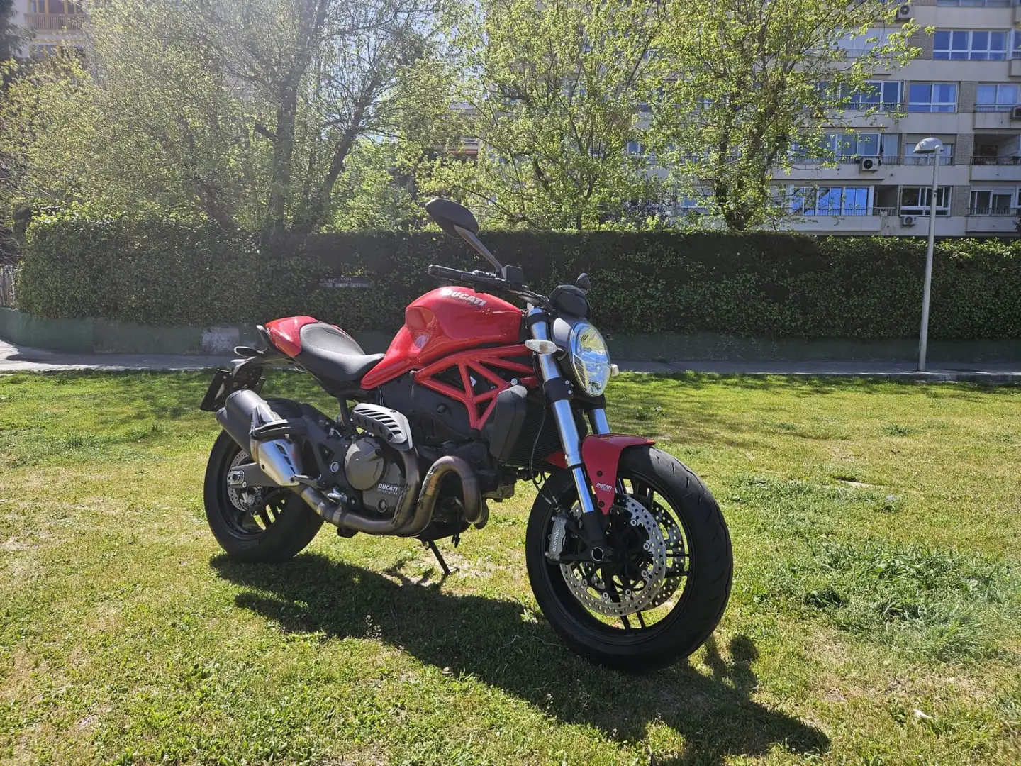 Ducati Monster 821 - 2