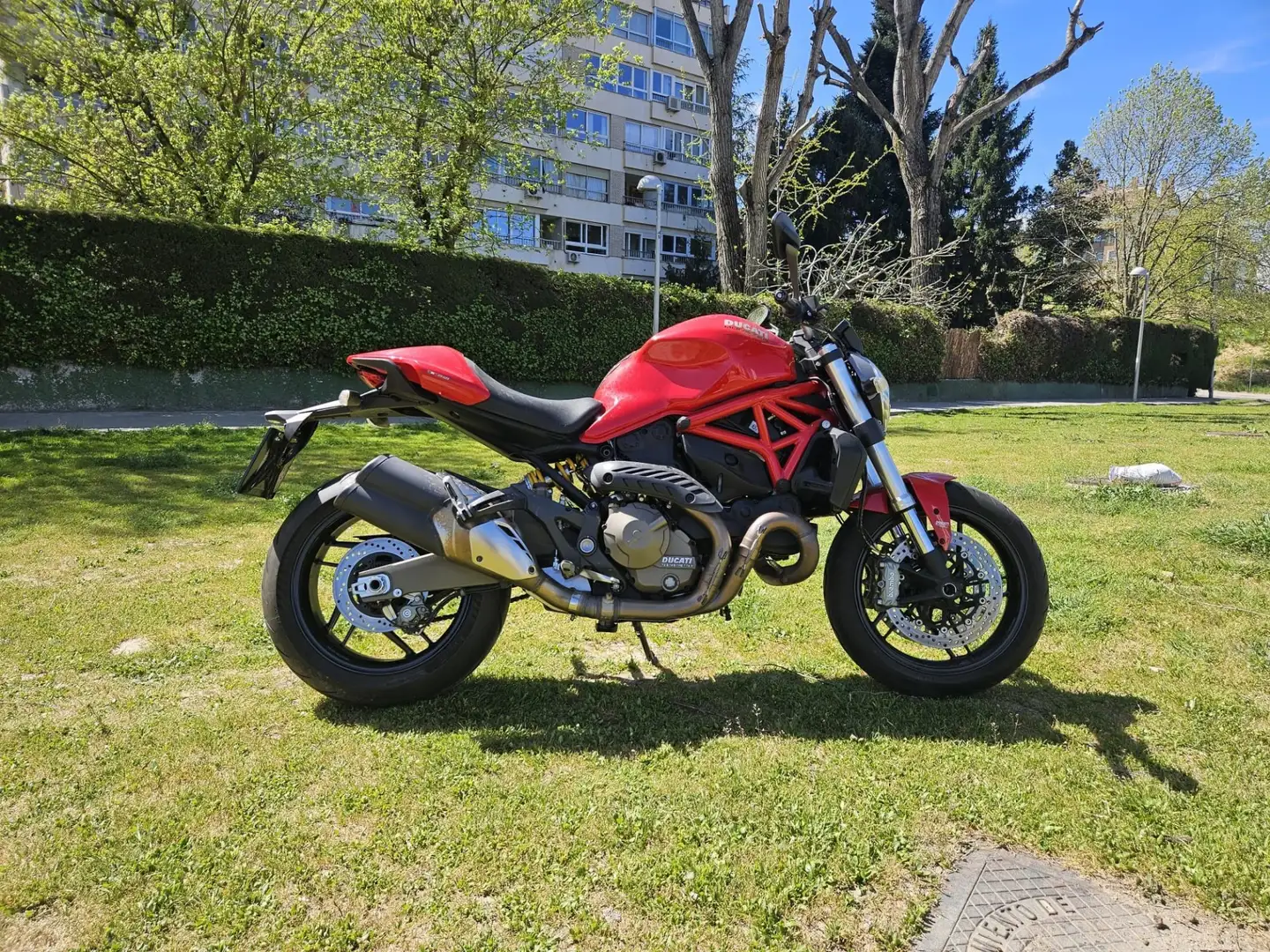 Ducati Monster 821 - 1