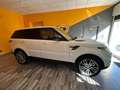Land Rover Range Rover Sport Range Rover Sport 3.0 TDV6 HSE Dynamic - thumbnail 6