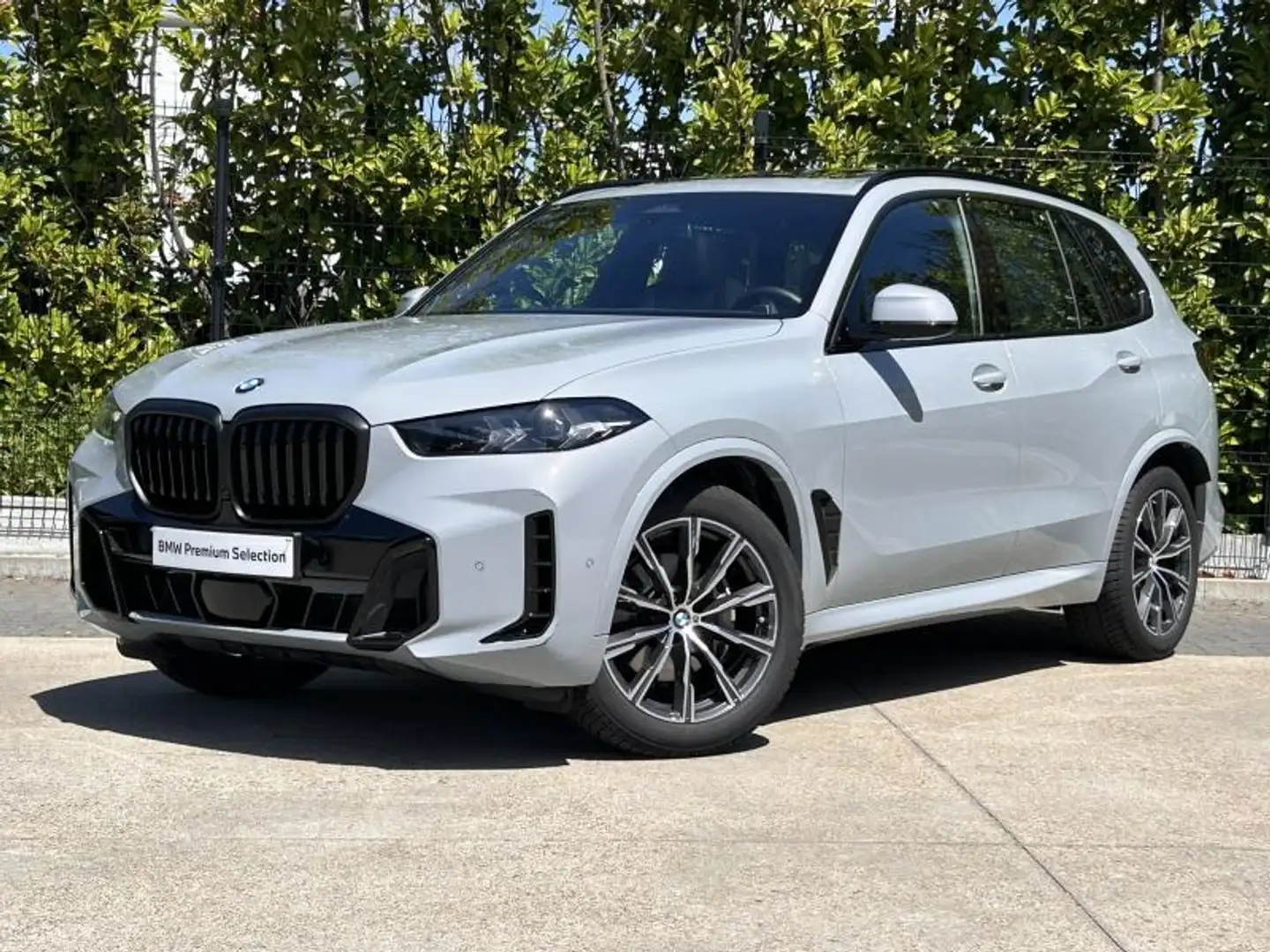 BMW X5 xD30d - 7 places - pano Grijs - 1