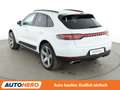 Porsche Macan Basis Aut.*NAVI*LED*TEMPO*CAM*PDC*KLIMA* Weiß - thumbnail 4