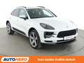 Porsche Macan Basis Aut.*NAVI*LED*TEMPO*CAM*PDC*KLIMA* Weiß - thumbnail 8