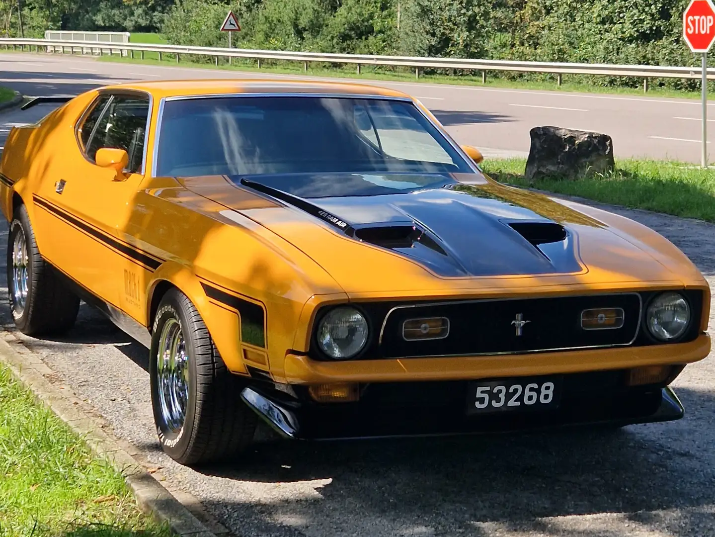 Ford Mustang Oranžová - 1