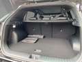 Kia Sportage Nightline Edition 1.6 T-GDI MHEV Glasd. GD Schwarz - thumbnail 12