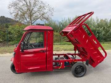 e-CARRO cabin RIBALTABILE PORTATA 715 KG