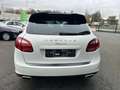 Porsche Cayenne 3.0 Diesel Tiptronic S Panodak 64000km White - thumbnail 6