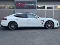 Porsche Panamera GTS Burmester / Sport Design / AHK / SH Bianco - thumbnail 10
