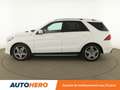 Mercedes-Benz GLE 250 250 d Sportline 4Matic Alb - thumbnail 3