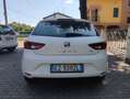 SEAT Leon Leon III 5p 1.6 tdi cr Reference 90cv-OK NEOPATENT Bianco - thumbnail 5