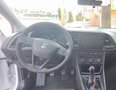 SEAT Leon Leon III 5p 1.6 tdi cr Reference 90cv-OK NEOPATENT Bianco - thumbnail 11