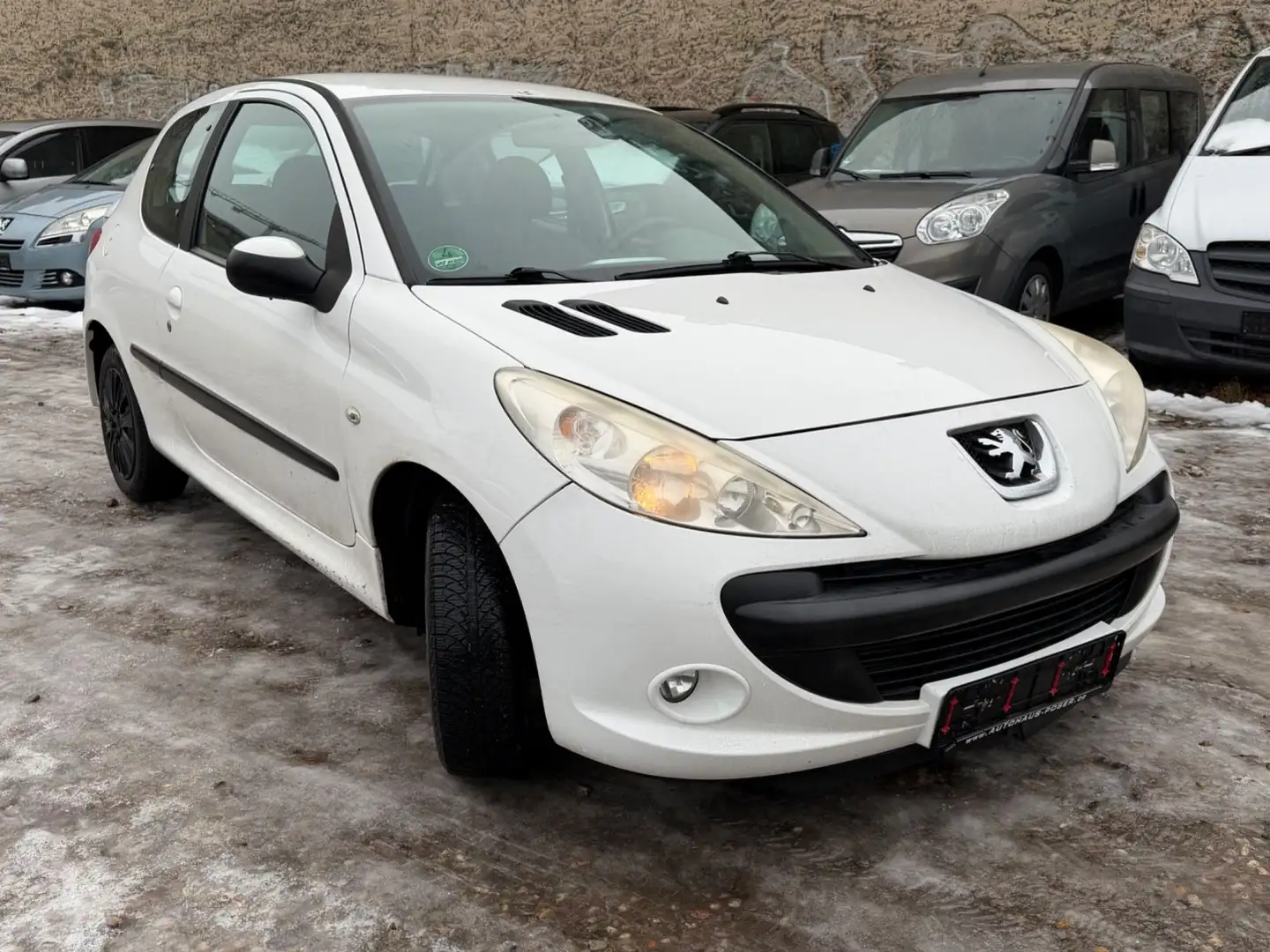 Peugeot 206 + Basis Weiß - 2