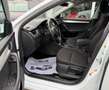 Skoda Octavia Combi Drive Weiß - thumbnail 5