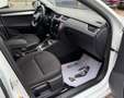 Skoda Octavia Combi Drive Weiß - thumbnail 11